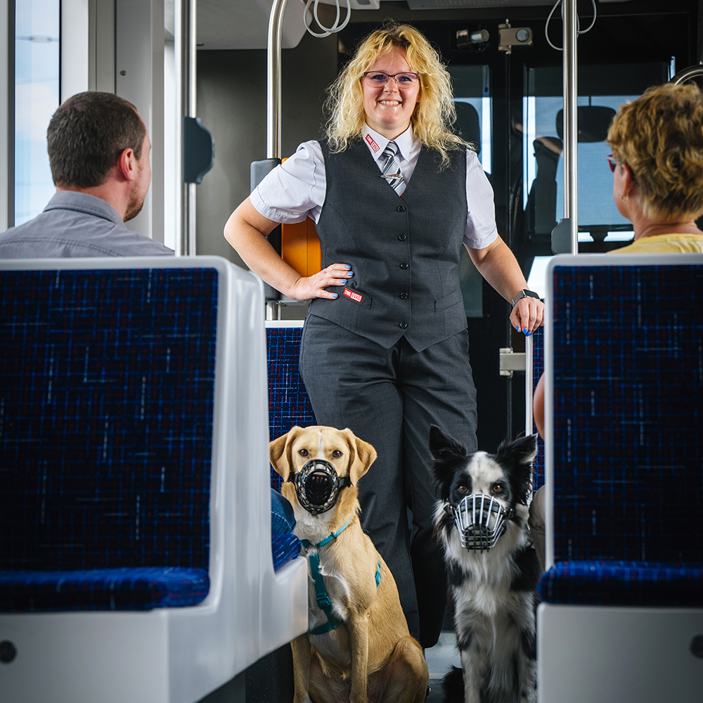 Fahrerin im Innenraum der Bahn. Vor ihr sitzen zwei Hunde mit Maulkorb. Links und rechts Fahrgäste.
