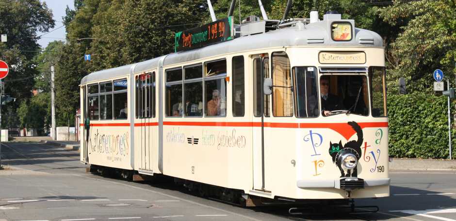 Historische Stra&szlig;enbahn in beiger Lackierung und der Aufschrift "Katerexpress" in der Stadt. Im Hintergrund gr&uuml;ne B&auml;ume.