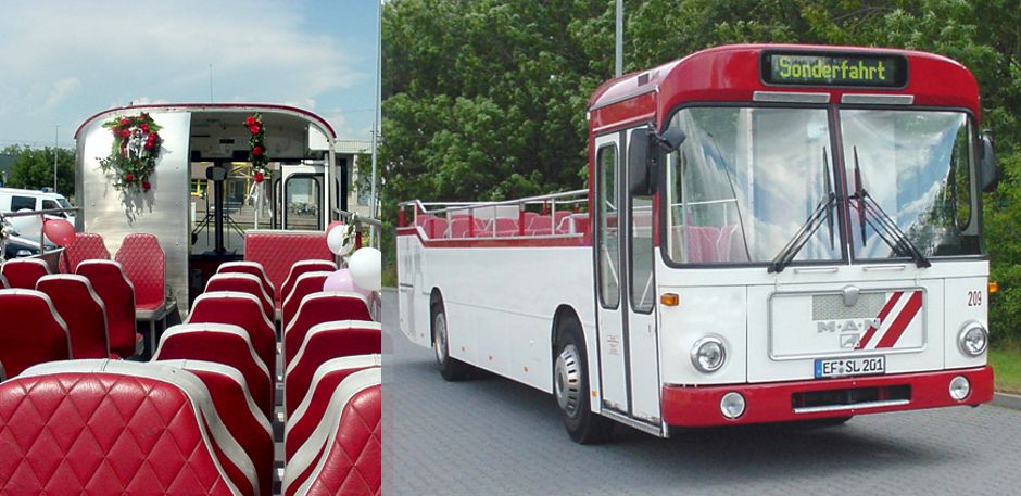 Cabriobus mit rot-weißer Lackierung und roten Ledersitzen im Grünen.